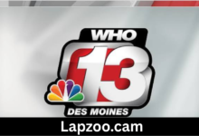 who 13 news
